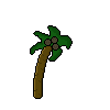 Palm Tree — The palm tree is a source of shade and drink!